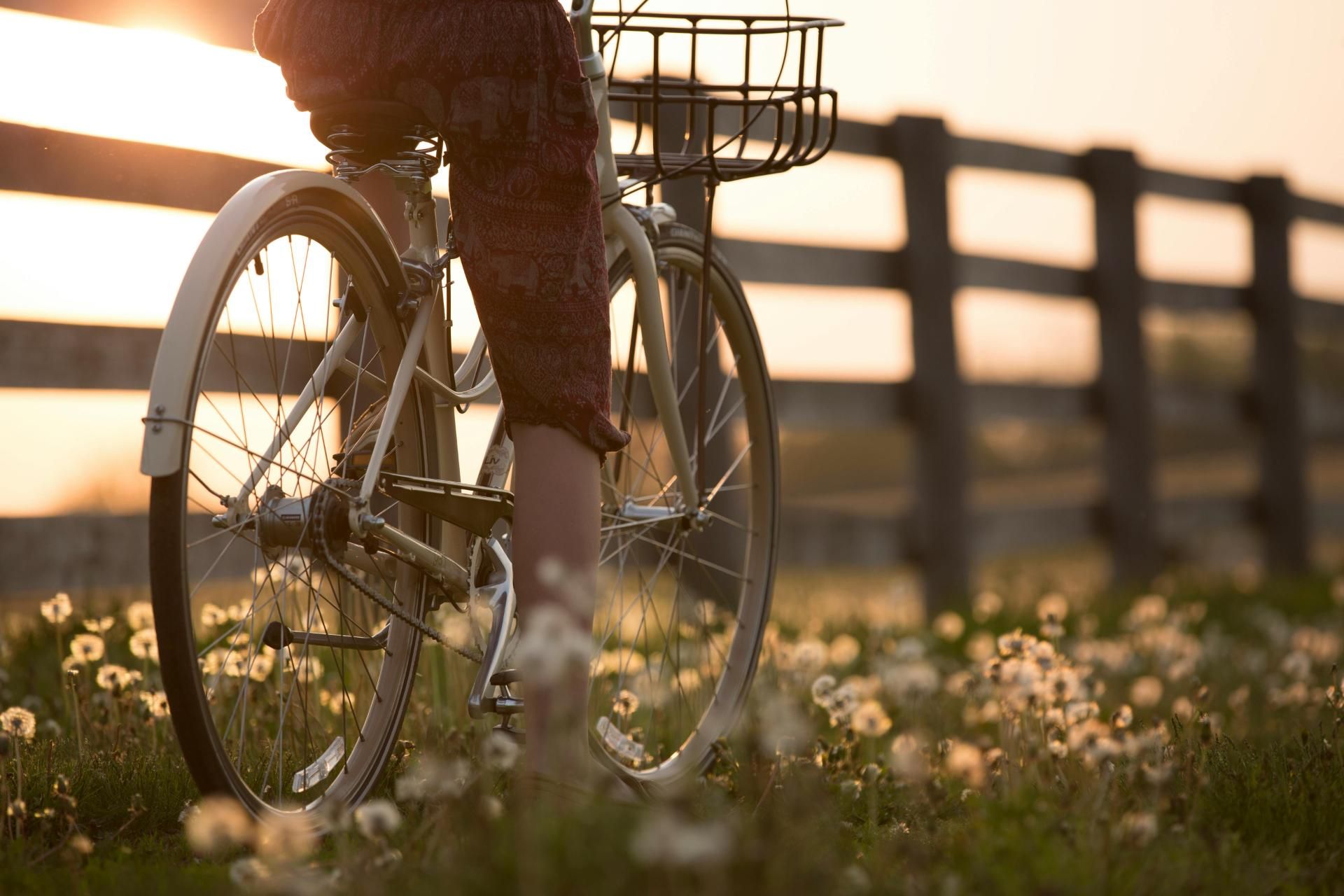 Pelterheggen Fietsparadijs Aan De Achterdeur