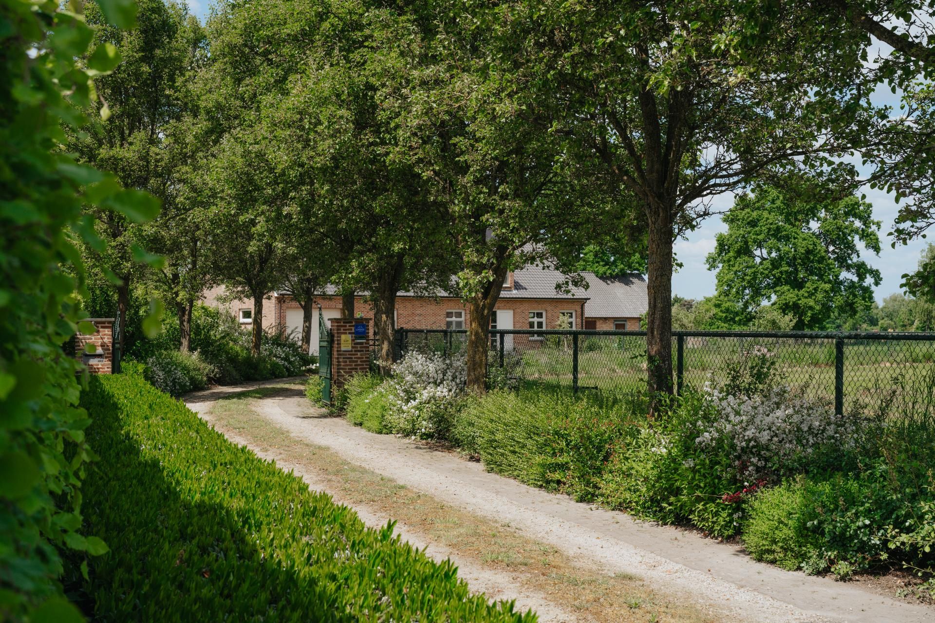 Voor Actievelingen En Rustige Genieters Ontdek De Omgeving Van Pelterheggen